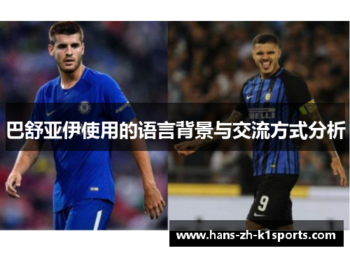 巴舒亚伊使用的语言背景与交流方式分析