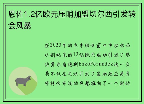 恩佐1.2亿欧元压哨加盟切尔西引发转会风暴 恩佐1.2亿欧元压哨加盟切尔西引发转会风暴