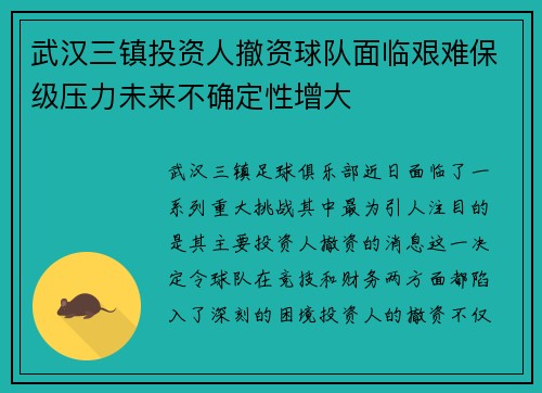 武汉三镇投资人撤资球队面临艰难保级压力未来不确定性增大 武汉三镇投资人撤资球队面临艰难保级压力未来不确定性增大